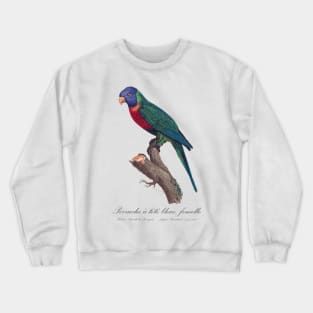 Rainbow Lorikeet female - 19th century Jacques Barraband Illustration Crewneck Sweatshirt